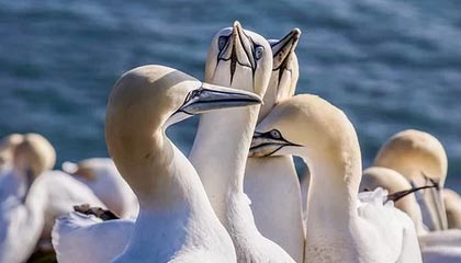 爱游戏APP-“跑出亲子情，牛仔3K亲子跑燃情香港”