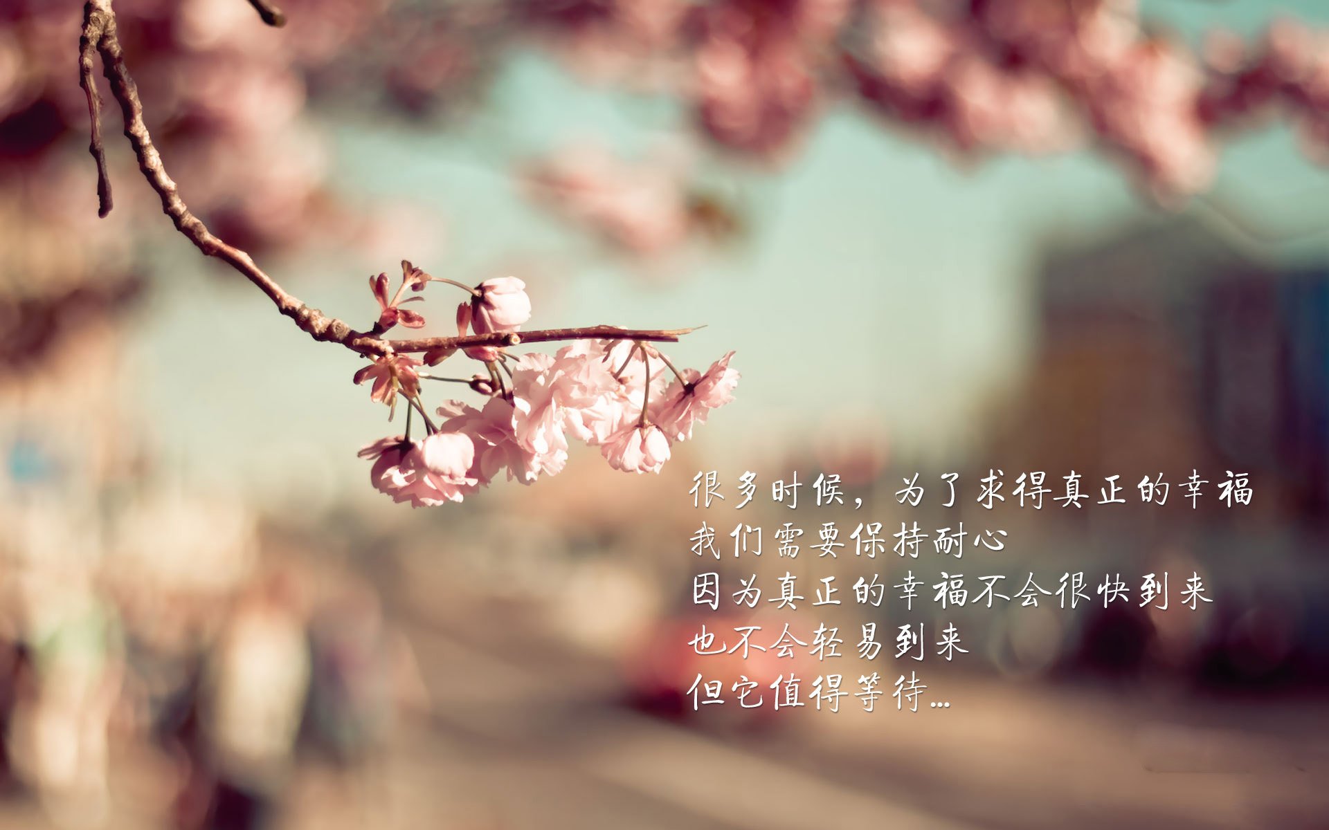 未来足球赛事将实现5G高清直播,体验无缝沉浸式观赛,现在直播足球视频