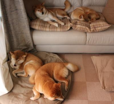 未来预兆:哪些年轻球员值得期待?,现役年轻球员