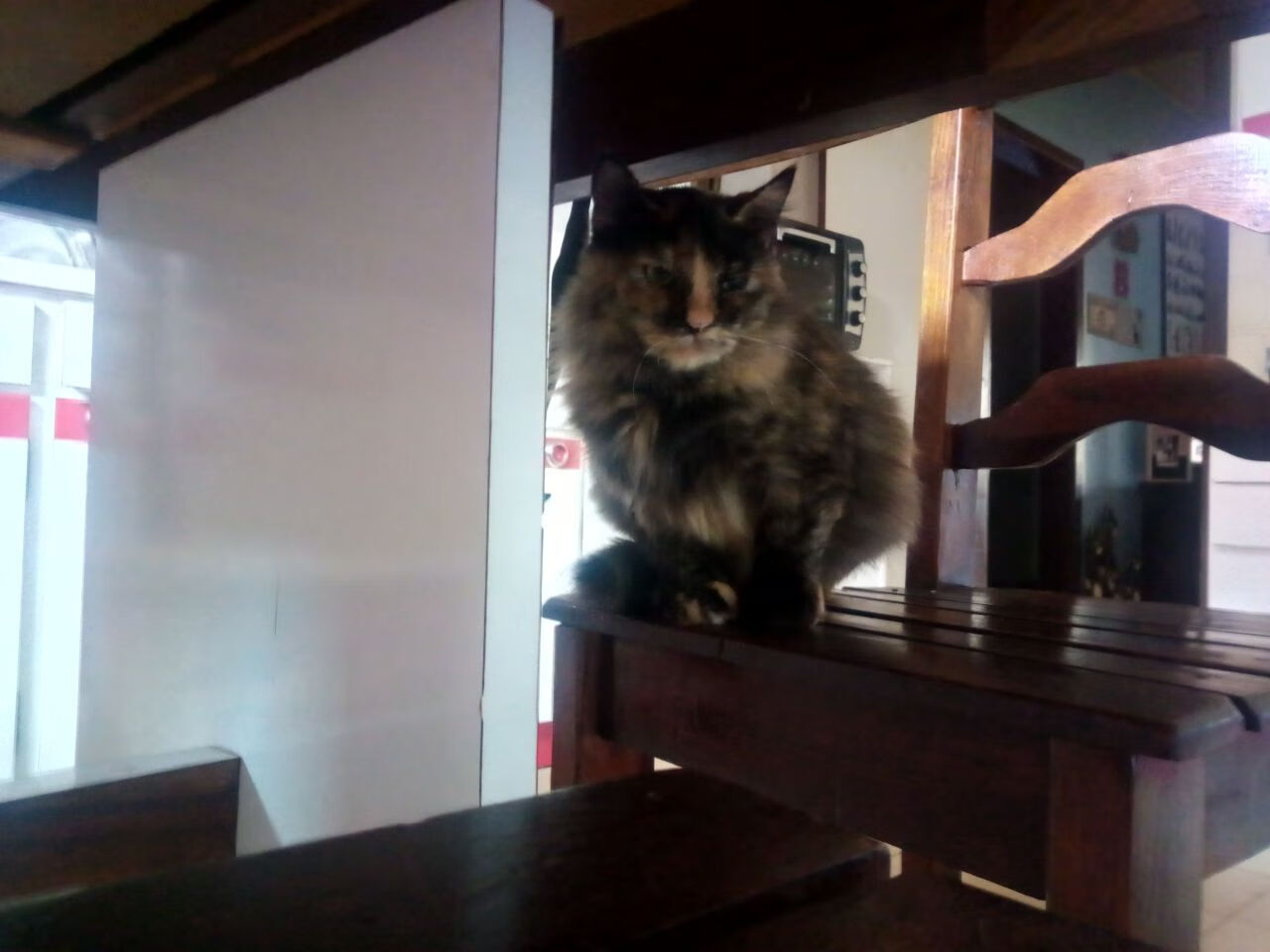 电竞与汽车行业的创新营销：品牌合作，用户互动，电竞 汽车