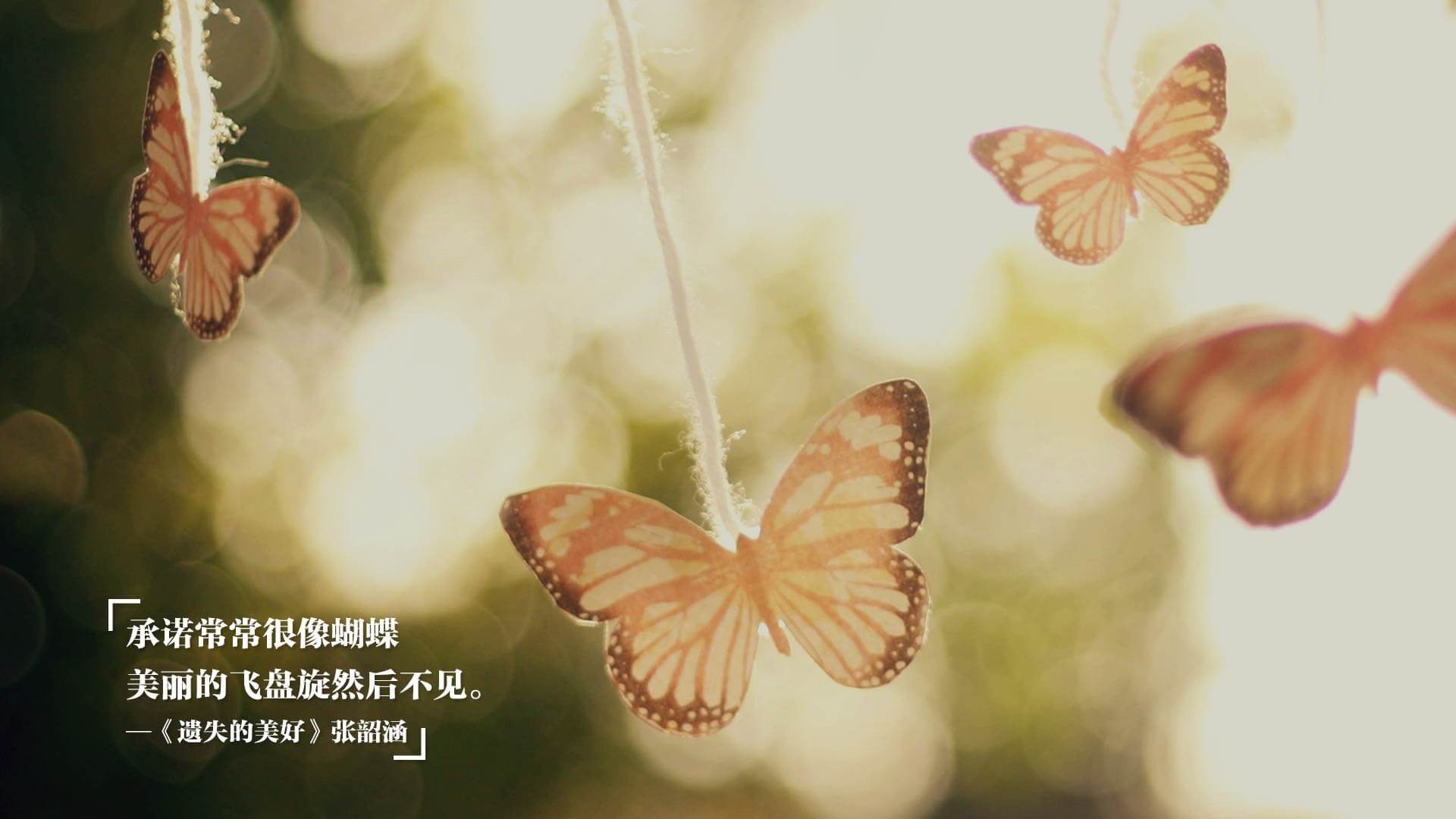 一场比赛中出现了惊艳的进球瞬间,足球比赛进球的一瞬间