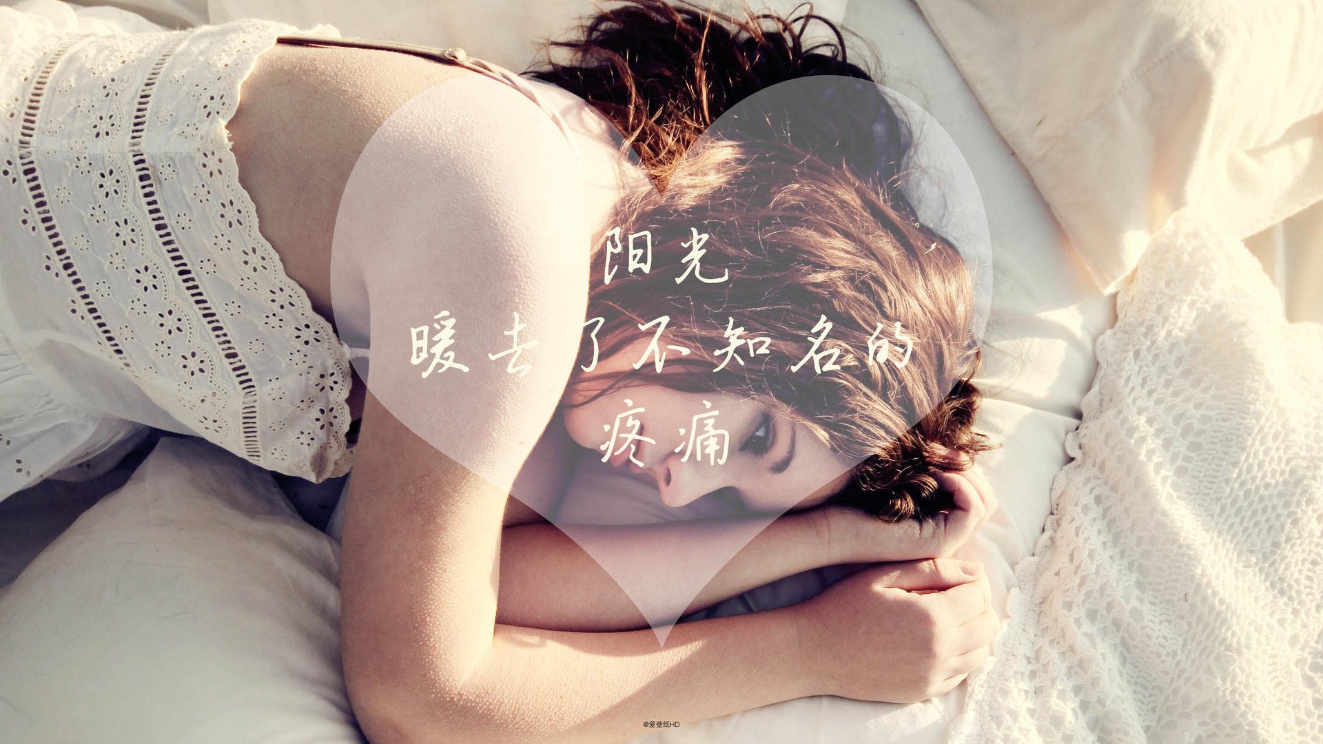 TL引入欧洲新星引关注