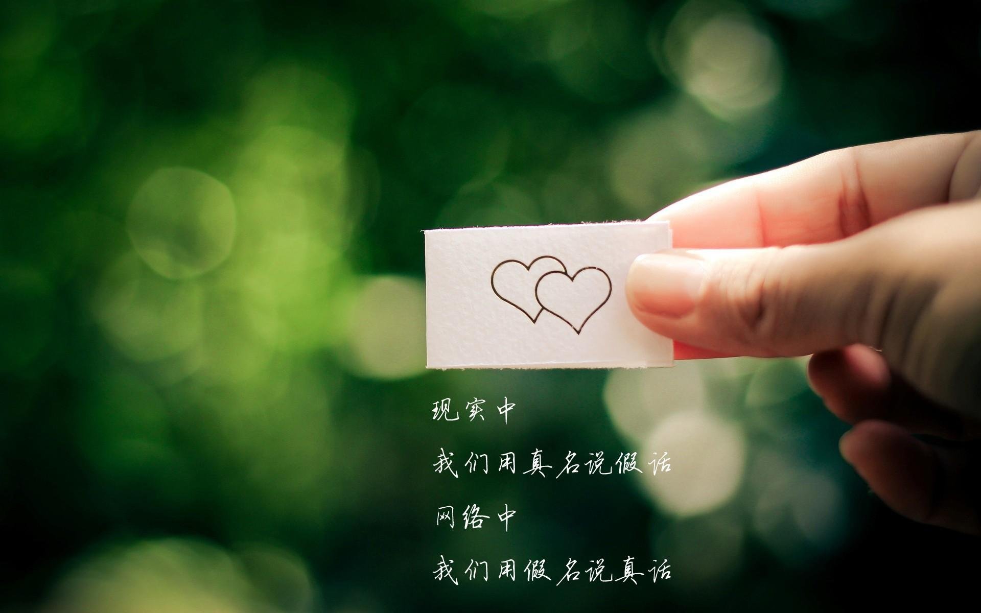 体育节目精彩纷呈，解读足球赛场风云，播放足球节目