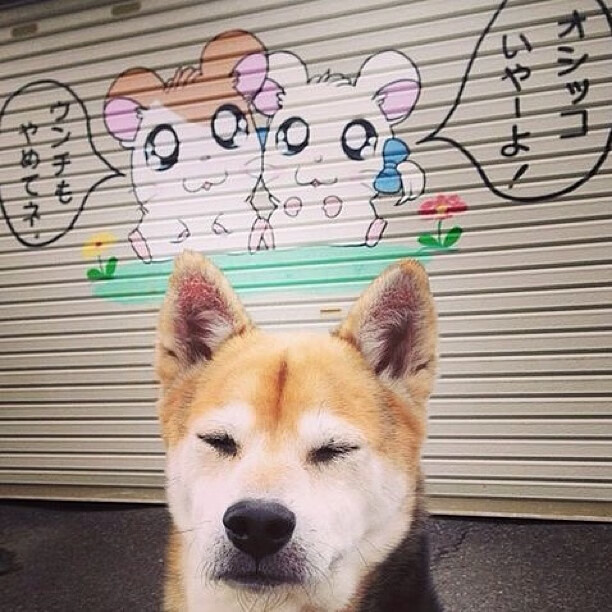 爱游戏APP-切尔西青年军是否具备争四实力，切尔西青训营叫什么