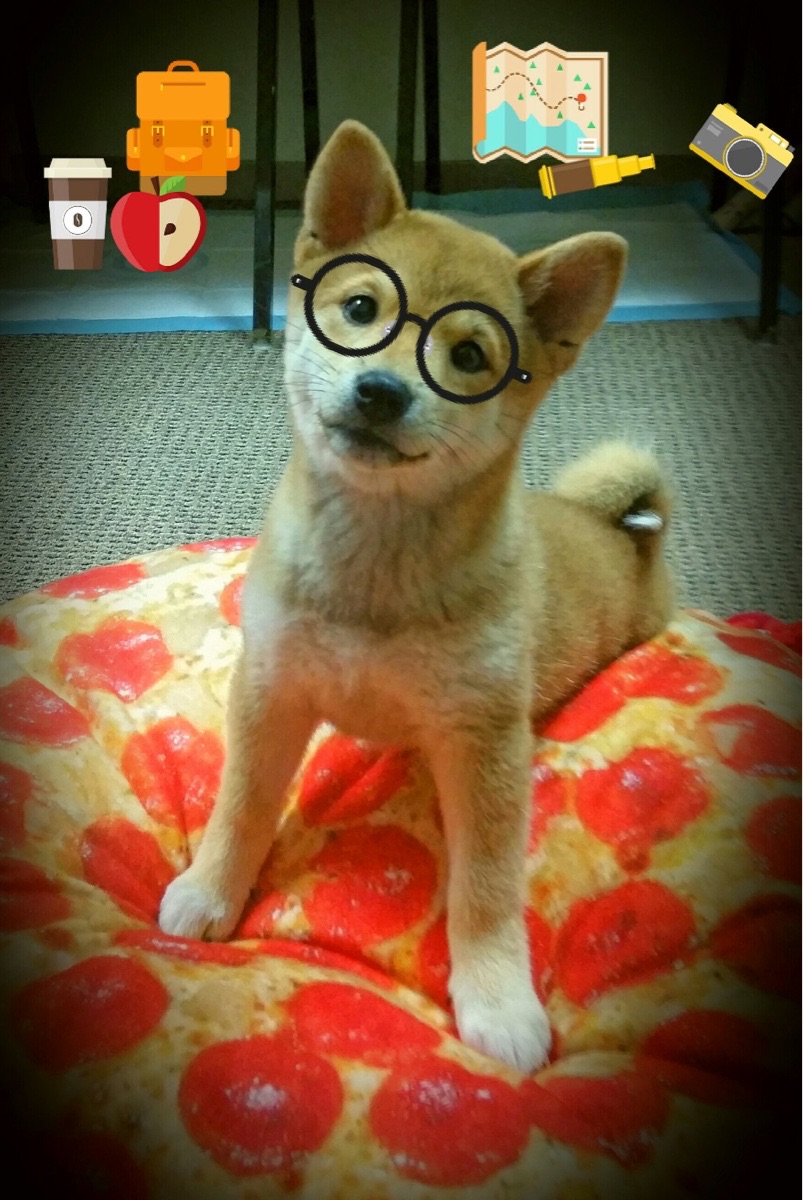 南昌八一队客场取得连胜，击败重庆斯威，八一南昌队主场馆在哪里