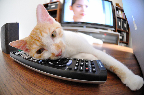 爱游戏娱乐平台-尼斯中场核心累积黄牌，下轮缺阵成疑，尼斯足球俱乐部主场