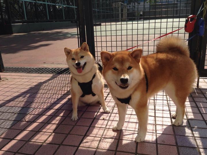 NBA联盟公平竞争政策实施效果评估，nba公平吗