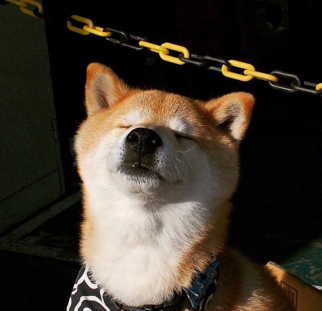 青少年体育运动推广策略研究，青少年体育培训推广方案