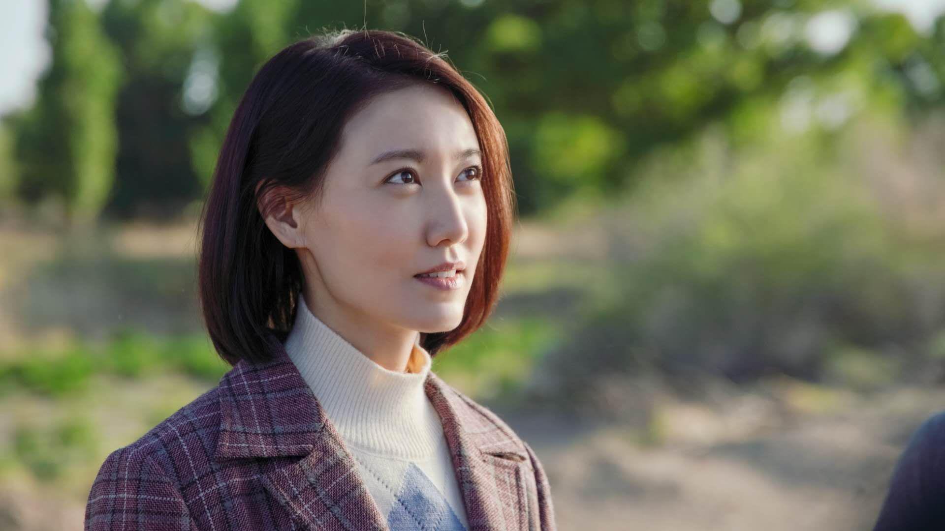 亚冠联赛多国解说团队合作提升传播力，亚冠介绍